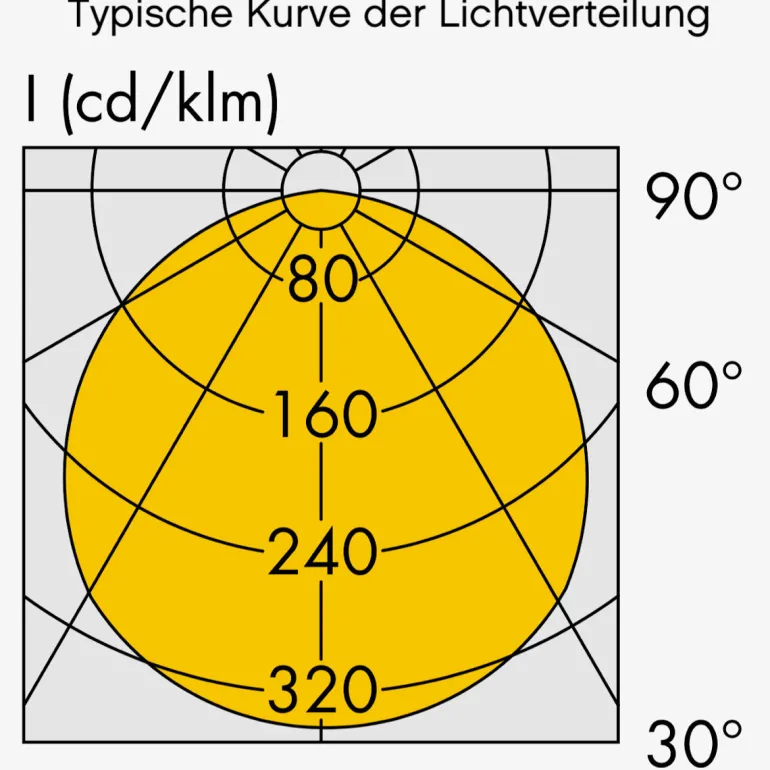 LED-Außenwandleuchte mit IP 65 und Bogenarm